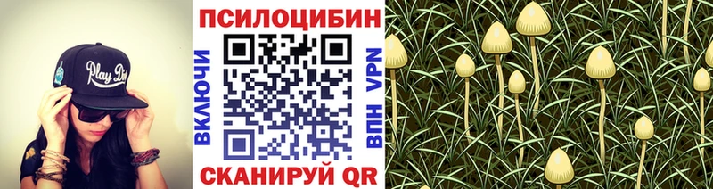 маркетплейс какой сайт  МЕГА tor  Псилоцибиновые грибы ЛСД  Кропоткин  купить закладку 